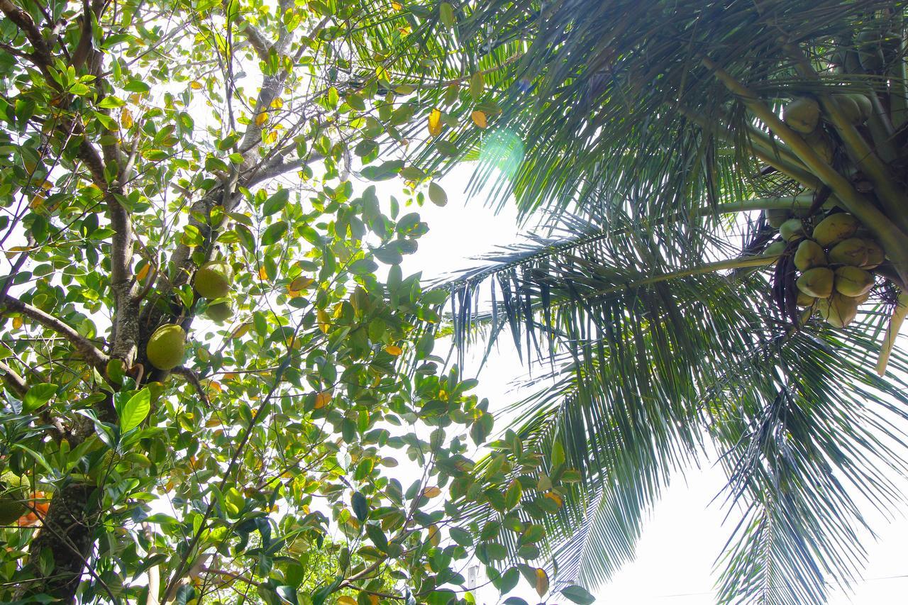 Dedunu Home Bentota Luaran gambar